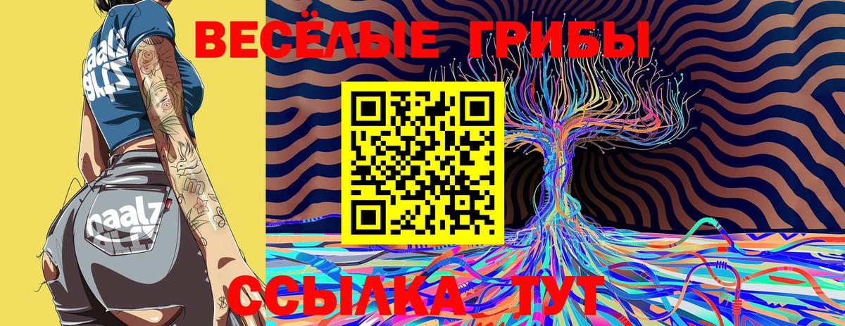 Галлюциногенные грибы Cubensis Гуково