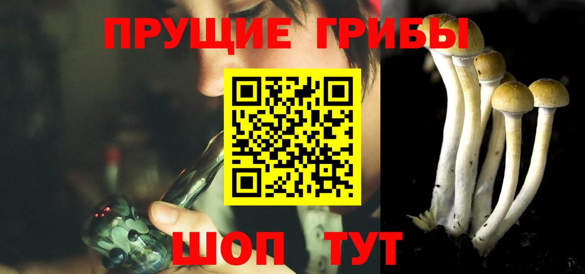 Псилоцибиновые грибы Psilocybe  Вход с VPN  Гуково 
